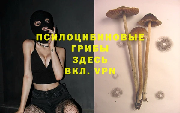 ALPHA PVP Армянск